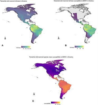 American Mammals Susceptibility to Dengue According to Geographical, Environmental, and Phylogenetic Distances